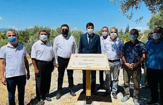 1300 yıllık anıt ağacına sahip Mut’a 3 anıt...