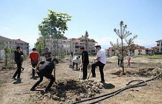 173 fidan toprakla buluştu