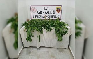 1 haftada 222 gram uyuşturucu ele geçirildi