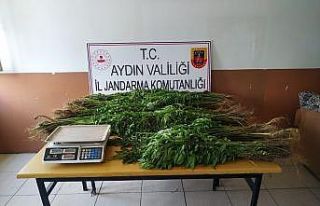 1 haftada 395 gram uyuşturucu ele geçirildi