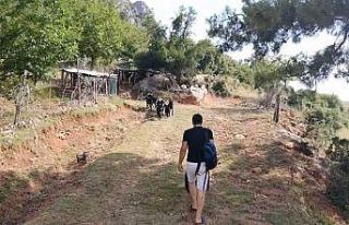 1 haftadır kayıp olan keçiler drone ile bulundu