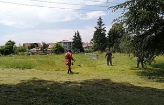 80 kişilik ekip kenti temizliyor