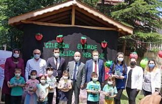 950 minik öğrenciye saksıda çilek fidesi dağıtıldı
