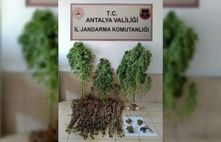 ABD vatandaşının evinden uyuşturucu ve tarihi...