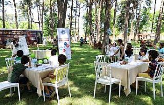 Açık havada zekâ oyunları