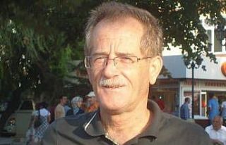 Ağaca çıkmak istediği merdiven sonu oldu