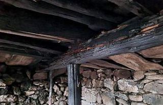 Ahırda yangın çıktı, 10 büyükbaş hayvan telef...