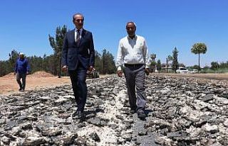 Akçakale’de asfaltlama çalışmaları sürüyor