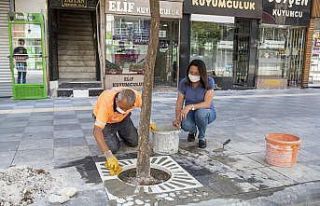 Akdeniz’de kaldırımlar yenileniyor, ağaç diplerine...