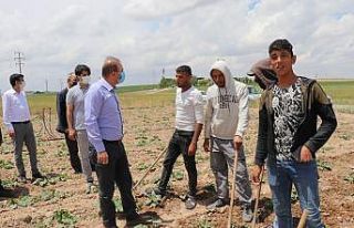 Aksaray’da mevsimlik tarım işçilerinin her türlü...