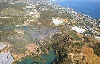 Alanya’da çıkan yangında 1 hektarlık orman arazisi...