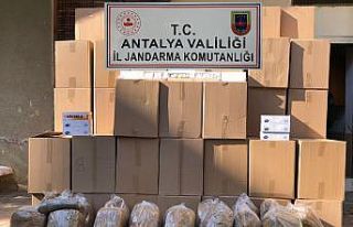 Alanya’da kaçak tütün operasyonu