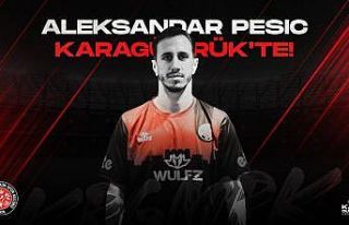 Aleksandar Pesic, Karagümrük’te