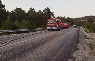 Alev alan kamyon bomba gibi patladı