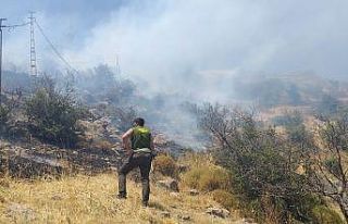 Alevler tüm Bodrum’dan görüldü