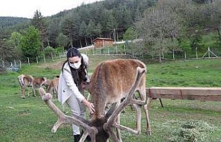 Alpu’dan Kızıl Geyik Üretim İstasyonuna ziyaret