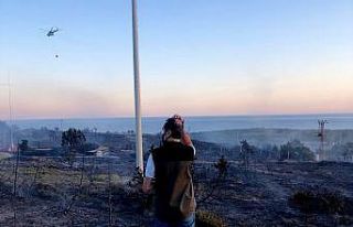 Altınkum’da 20 dekar makilik alan yandı