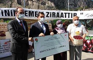 Amasya’da kirazlar yarıştı: Birinciye 3 bin TL...