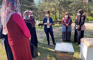 Ana arı üretim kursuna, kadınlar ve gençlerden...