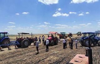 Anız yangını korkuttu