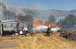 Anız yangınında 9 koyun ve 10 tavuk telef oldu