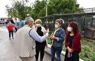 Ankara’da hayvanseverler ve belediye arasında iş...