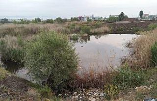 Ankara’da tabelaya çarpan otomobil dereye uçtu:...