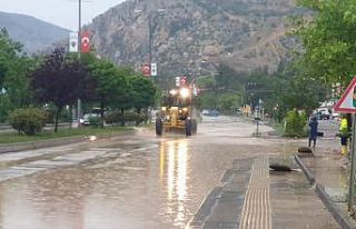 Ankara’nın Nallıhan ilçesinde sağanak yağış