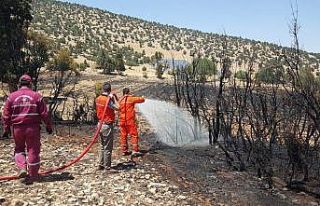 Antalya’da arazi yangınında 60 dekar ekili alan...