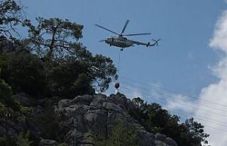 Antalya’da çıkan orman yangınında 1 dekarlık...