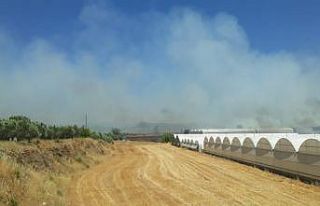 Antalya’da yangın