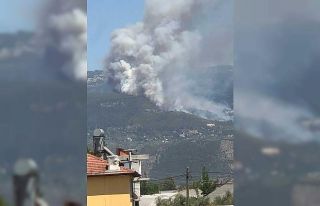 Antalya’nın Kaş ilçesinde orman yangını