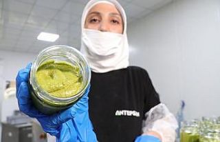 Antep Fıstığının katma değerleri artıyor