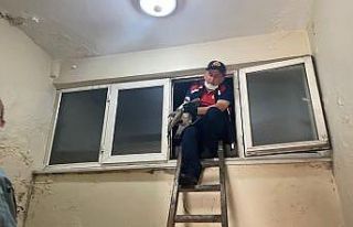 Apartman boşluğuna düşen yaralın martının imdadına...