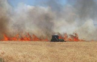 Araban’da 220 dönüm buğday tarlası yandı