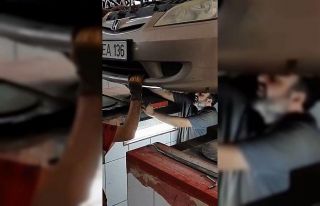 Aracın motor kısmına giren yavru kedi sanayide...