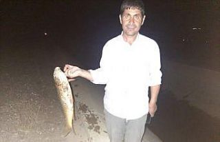 Arazi sulamak için çıktılar ellerinde balıkla...