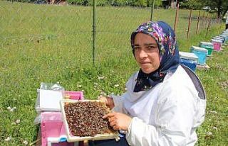 Arıcılık yaparak kızlarını okutuyor