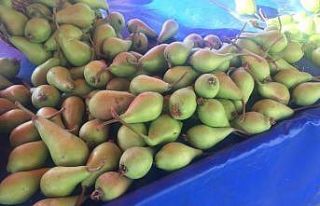 Armut fiyatları cep yakıyor