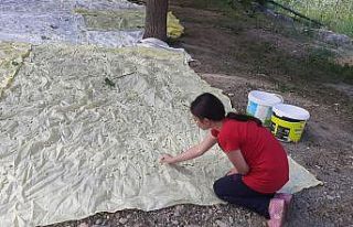 Artvin’de meşhur İşhan Pekmezi geleneksel yöntemlerle...