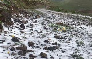 Artvin’in dağları Haziran ayında yeniden beyaza...