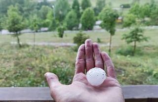 Artvin’in Şavşat ilçesine ceviz büyüklüğünde...