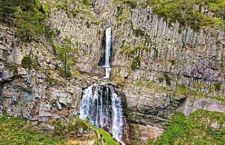 Artvin’in Şavşat ilçesinin Maden köyü şelalesi...