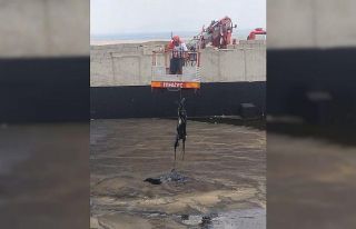 Asfalt hammadde havuzuna düşen keçiyi itfaiye kurtardı
