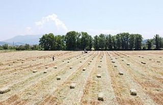 Asgari ücretle çalışırken kendi işlerinin patronu...