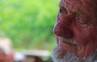 Asırlık çınarın hüzünlendiren hikayesi