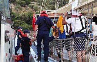 Aslan balığına bastı, hastaneye kaldırıldı