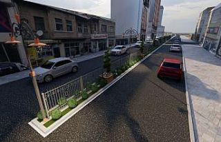 Atatürk Bulvarındaki refüjlere yeni düzenlenme...