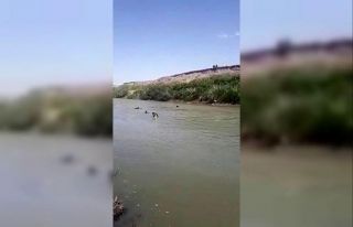 Ayaklarını yıkamak isterken dereye düşen genç...