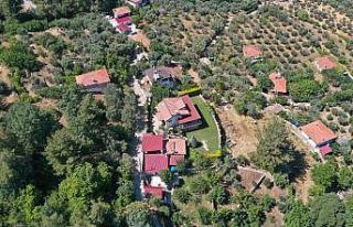 Aydın’ın yaylaları, Ayder’i aratmıyor